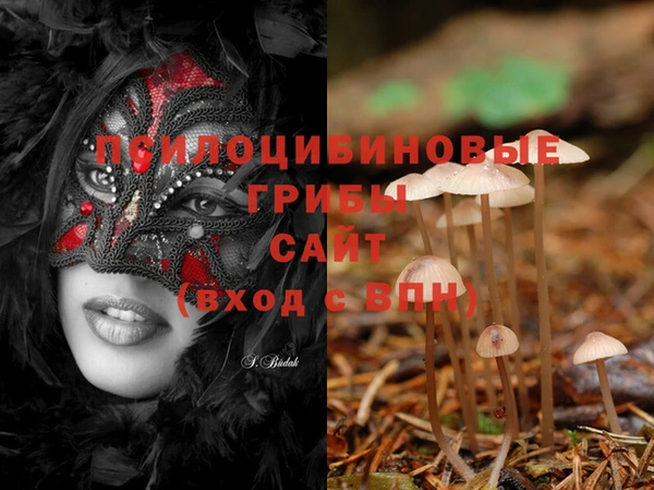 MESCALINE Осинники