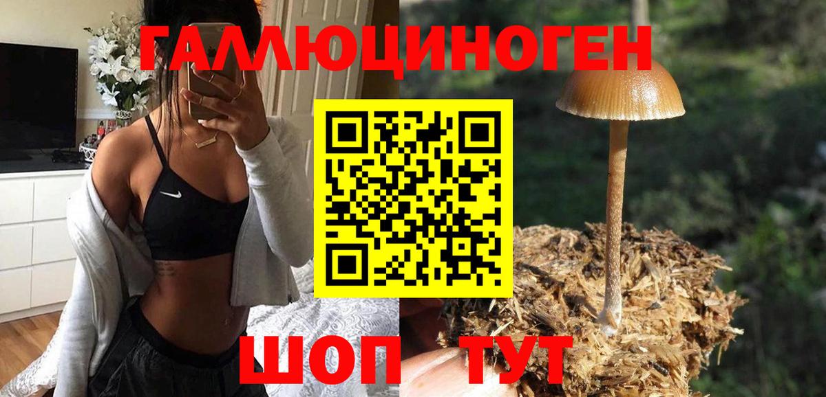 Псилоцибиновые грибы MAGIC MUSHROOMS Серов